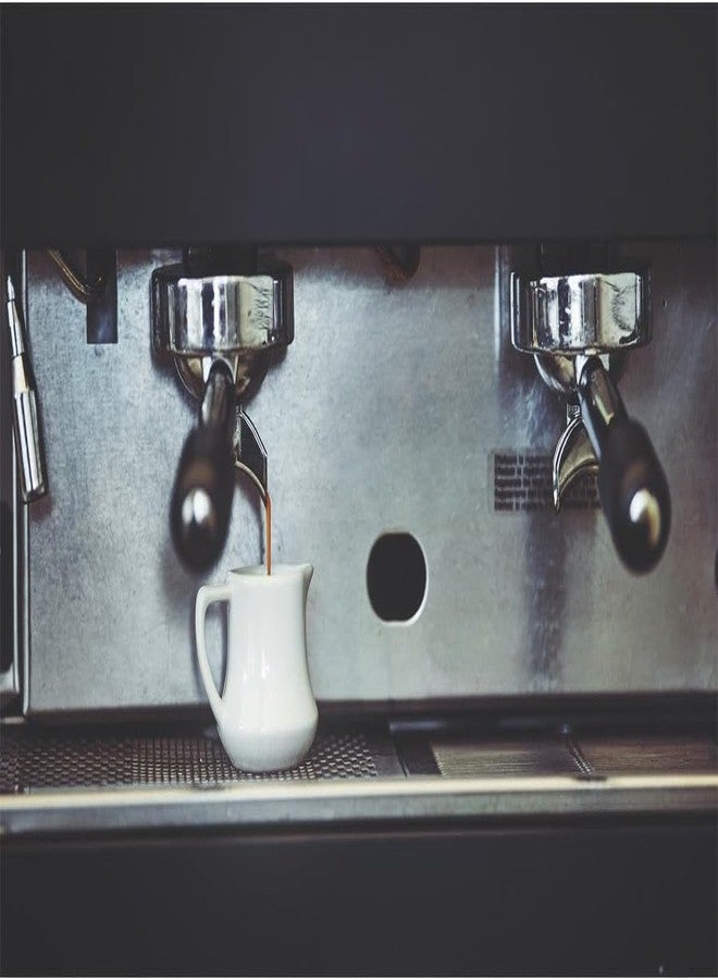 Gaggia 21001681 Descaler - Image 5