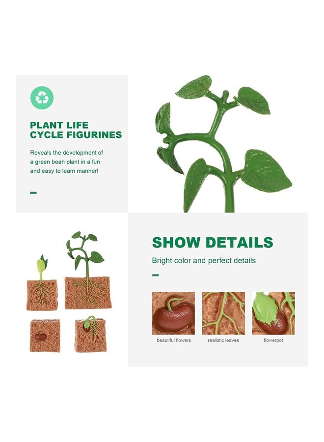 لعبة تعليمية لشرح تطور دورة حياة النباتات مُكونة من 4 قطع - Image 2