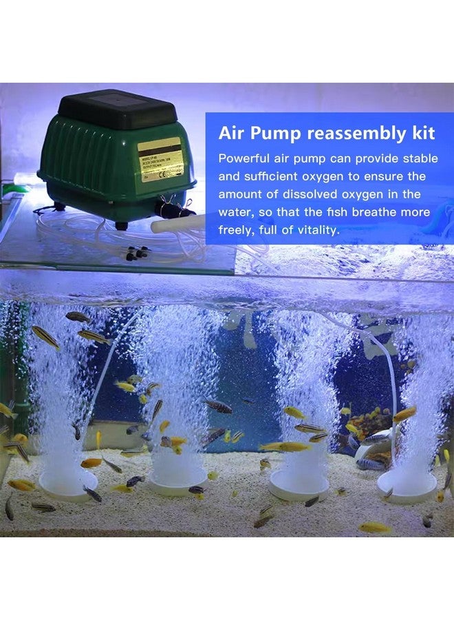 GRABOTE for HP60/80 Air Pump Rebuild Complete Kit for Aqua-Aire AA500, with White Switch - Image 3