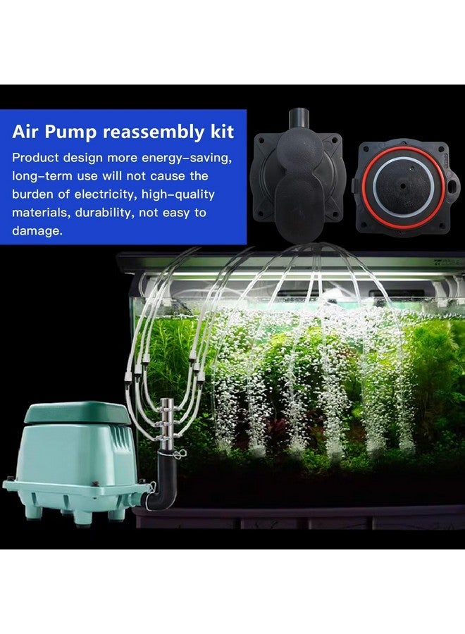 GRABOTE for HP60/80 Air Pump Rebuild Complete Kit for Aqua-Aire AA500, with White Switch - Image 4