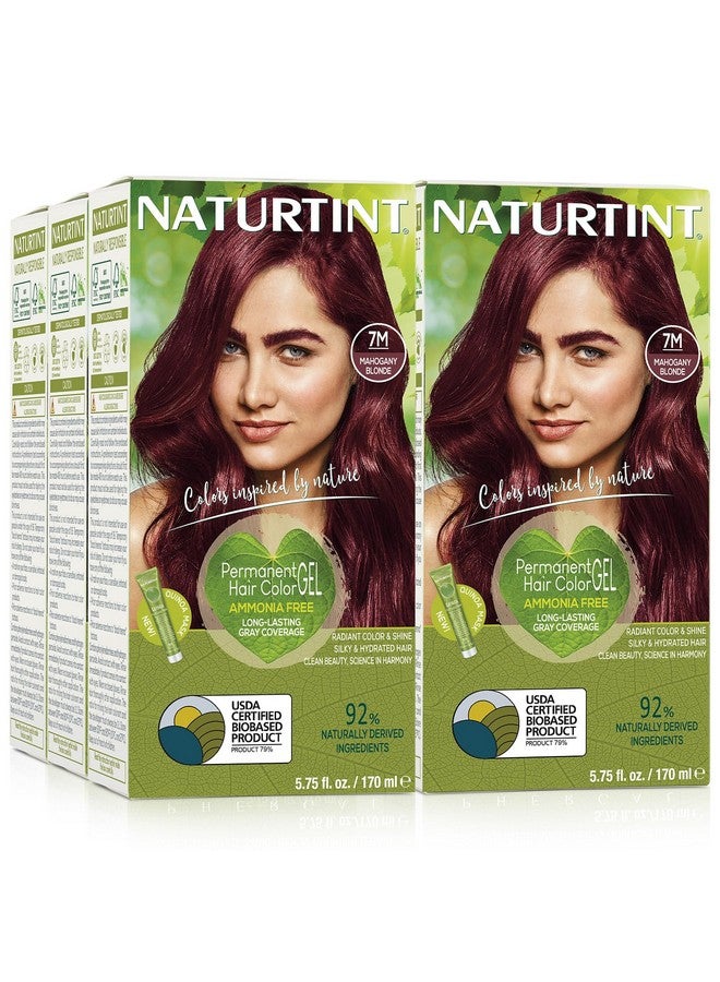 NATURTINT Aturtint Permanent Hair Color 7M Mahogany Blonde (Pack Of 6) Ammonia Free Vegan Cruelty Free Up To 100% Gray Coverage Long Lasting Results - Image 1