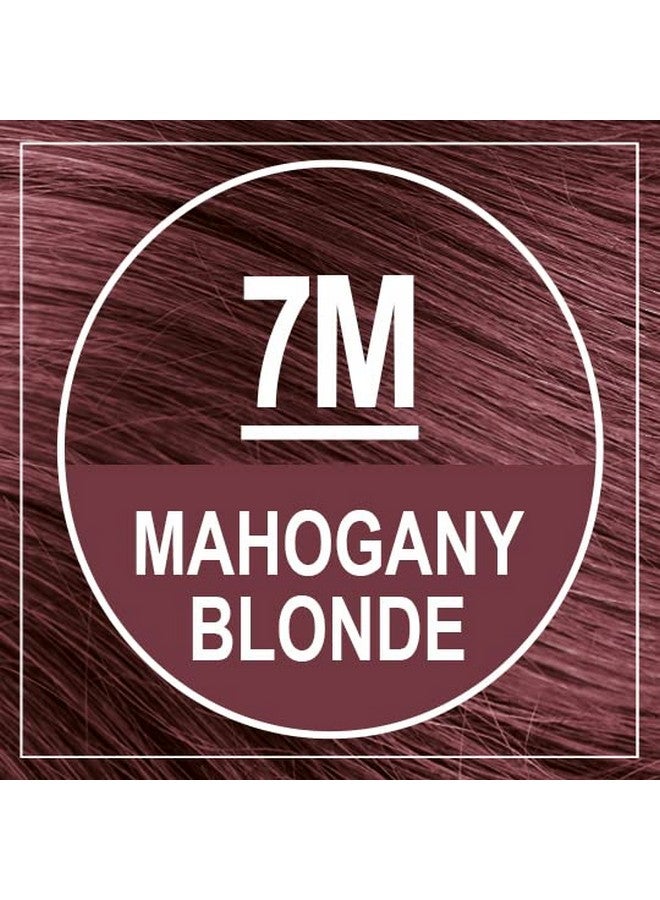 NATURTINT Aturtint Permanent Hair Color 7M Mahogany Blonde (Pack Of 6) Ammonia Free Vegan Cruelty Free Up To 100% Gray Coverage Long Lasting Results - Image 3