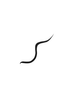 DHC Liquid Eyeliner EX Black  - Image 3