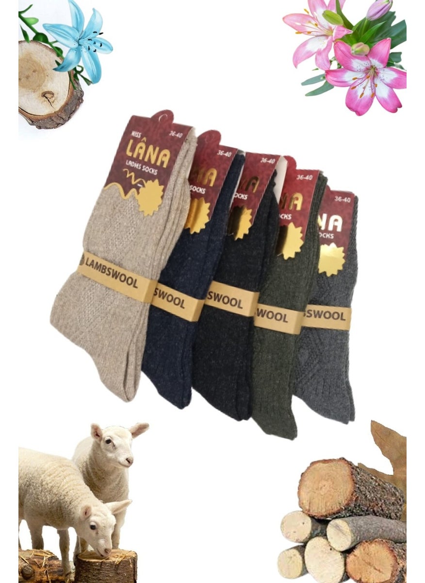 Kral Socks - Kral Women's Socks 5 Pairs Winter Wool Socks Lambswool (Special Lamb Wool) With Thermal Features for Women - Image 1