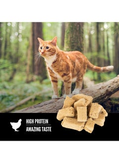 Orijen Original Freeze Dried Cat Treats, Grain Free Treats For Cats, Raw Animal Ingredients, 1.25Oz  - Image 3