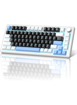 Black/Blue