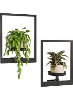 LENND Planters for Indoor Plants Metal Wall Plant Holder Plant Hanger Wall Decor Wall-Mounted Wall Hanging Planters Outdoor Plant Rack Black  - Image 1