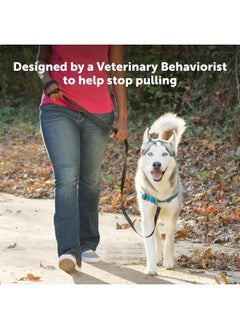 PetSafe PetSafe Easy Walk Deluxe Dog Harness, No Pull Dog Harness - Perfect for Leash & Harness Training - Stops Pets from Pulling and Choking on Walks - Large, Ocean  - Image 5