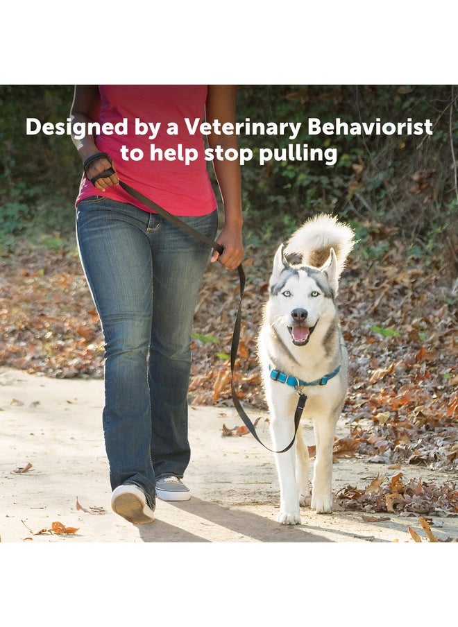 PetSafe - PetSafe Easy Walk Deluxe Dog Harness, No Pull Dog Harness - Perfect for Leash & Harness Training - Stops Pets from Pulling and Choking on Walks - Large, Ocean - Image 1