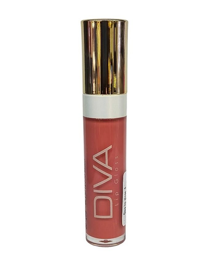 DIVA LIP GLOSS 06