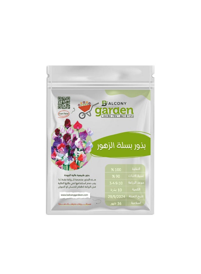 Colorful climbing pea seeds - 10 excellent seeds, easy to grow, with an attractive aromatic scent
