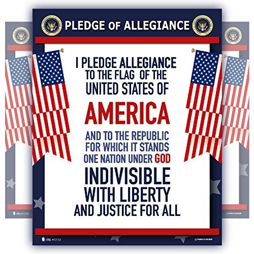 Young N Refined Pledge of Allegiance poster LAMINATED American flag print for classroom décor chart usa sign 15x20 - Image 5