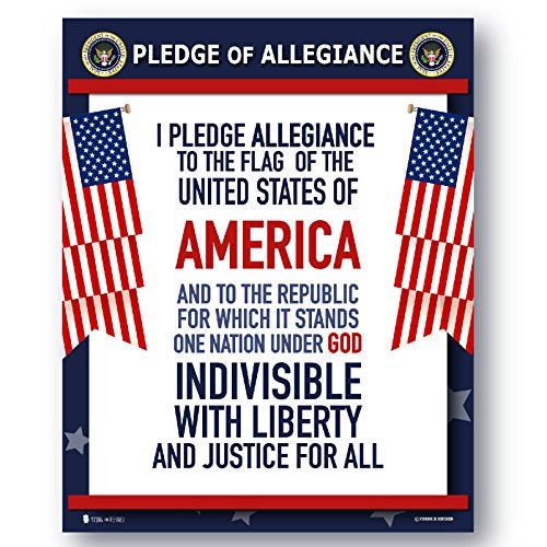 Young N Refined Pledge of Allegiance poster LAMINATED American flag print for classroom décor chart usa sign 15x20 - Image 4