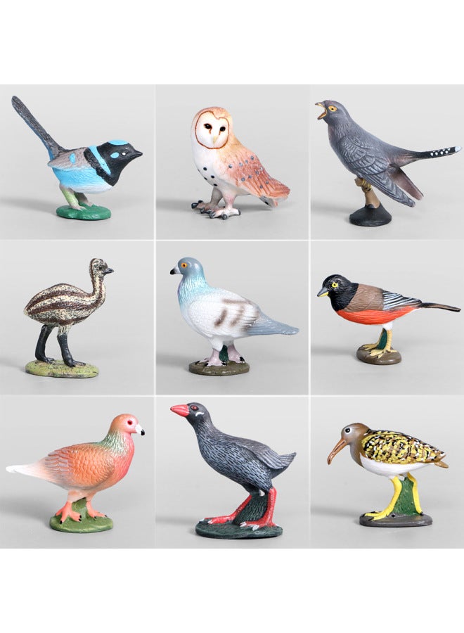 Simulation Wildlife Model Birds Cockatoo Plastic Solid Children's Toys Science And Education Micro Landscape Ornaments-Color:HS-127-2346 - Image 3
