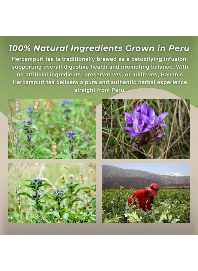 Hanan Peruvian Secrets أسرار حنان البيروفية هيركامبوري - 100% جنتيانيلا ألبوروزيا 1.41 أونصة / 40 جرام - ديتوكس طبيعي - Image 5