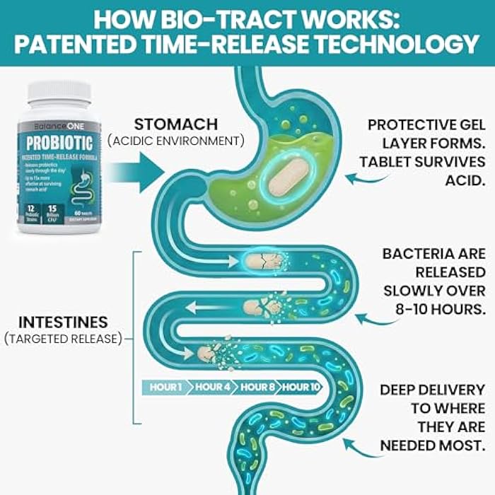 Balance ONE Time Release Probiotic – 15 Billion CFU – 12 Strains Including L. Plantarum – 15x More Survival Than Capsules – Bloating & Gas Relief – Gut & Digestive Health for Women & Men – 60 Tablets - Image 3