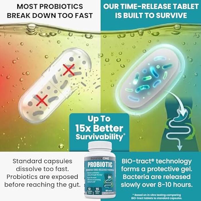 Balance ONE Time Release Probiotic – 15 Billion CFU – 12 Strains Including L. Plantarum – 15x More Survival Than Capsules – Bloating & Gas Relief – Gut & Digestive Health for Women & Men – 60 Tablets - Image 2