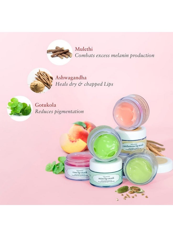 Just Herbs Ayurvedic Rose Lip Mask, Balm For Dark, Dry & Pigmented Lips - Vegan Lip Mask For Men & Women 15Gm  - Image 4