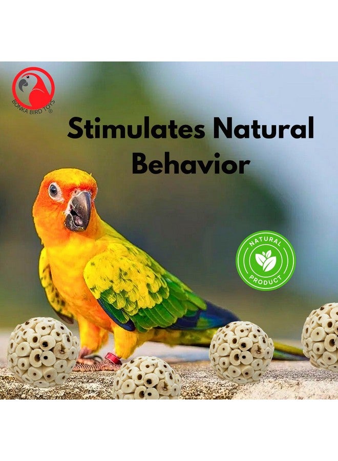 Bonka Bird Toys Bonka Bird Toys 2354 Pk4 Small Sola Atta Ball, 1.75"-2" Diameter, Soft Natural Sola Plant Material, Ideal Chew and Foot Toy for Conures, Ringnecks, Parakeets and Similar Breed Sizes - Image 5