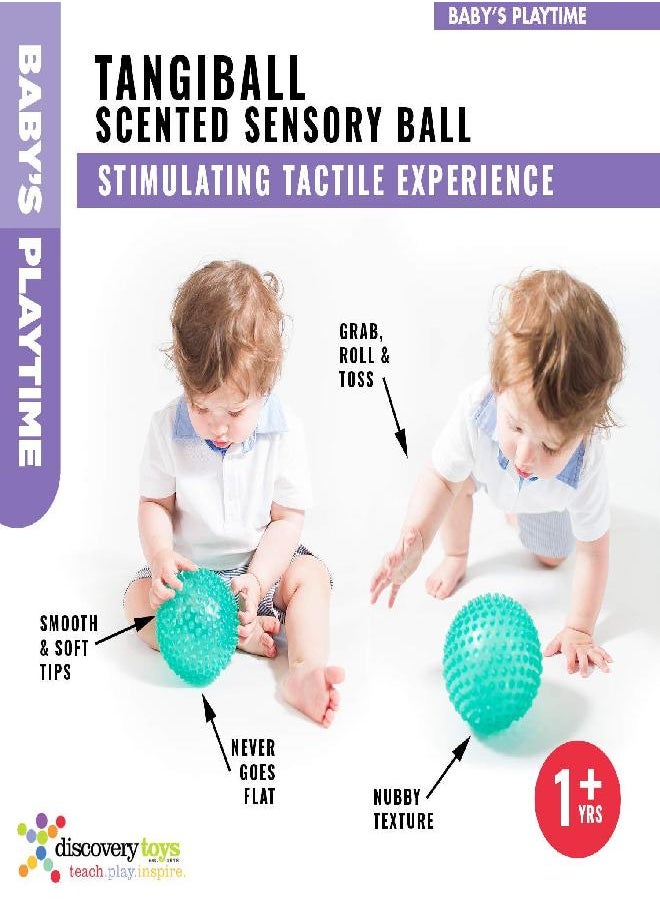 Discovery Toys - Discovery Toys TANGIBALL Squishy, Squeezy Scented Sensory Ball | Kid-Powered Learning | STEM Toy Early Childhood Development 12 Months and Up - Image 1