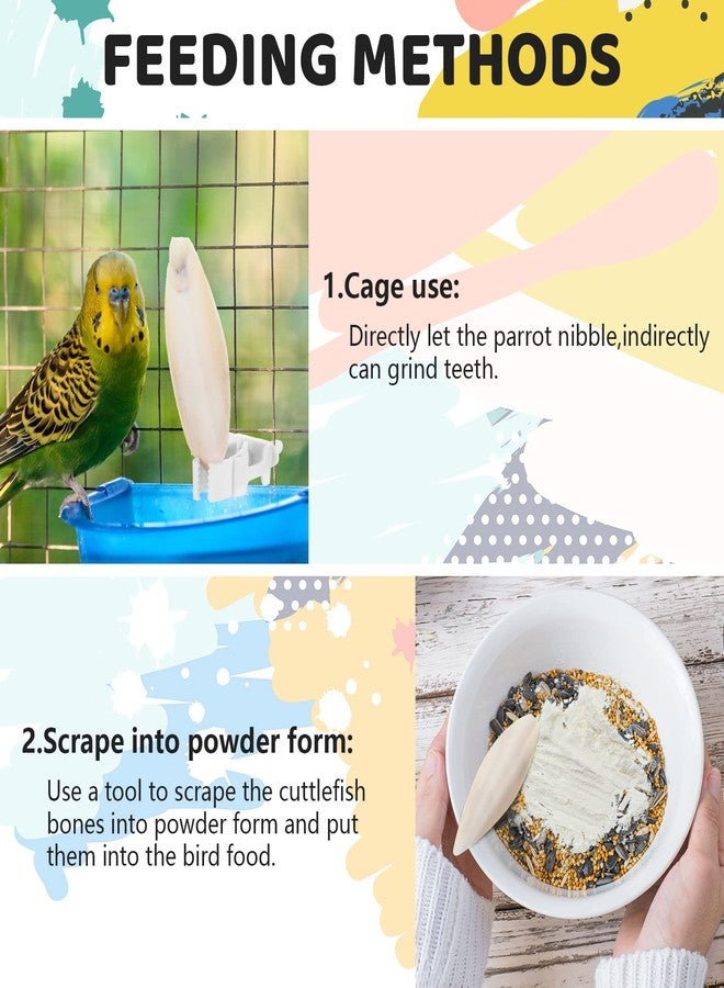 سندير ٤٠ قطعة من عظام الحبار (من ٣ إلى ٣.٥ بوصة) للطيور، مع حامل واحد لعظام الحبار للببغاوات، ومشبك طعام لقفص الطيور، ولعبة مضغ للببغاوات والكوكاتيل والبادجي والزواحف. - Image 3