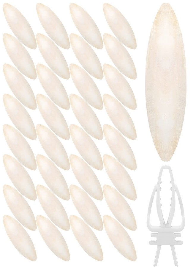 سندير ٤٠ قطعة من عظام الحبار (من ٣ إلى ٣.٥ بوصة) للطيور، مع حامل واحد لعظام الحبار للببغاوات، ومشبك طعام لقفص الطيور، ولعبة مضغ للببغاوات والكوكاتيل والبادجي والزواحف. - Image 1