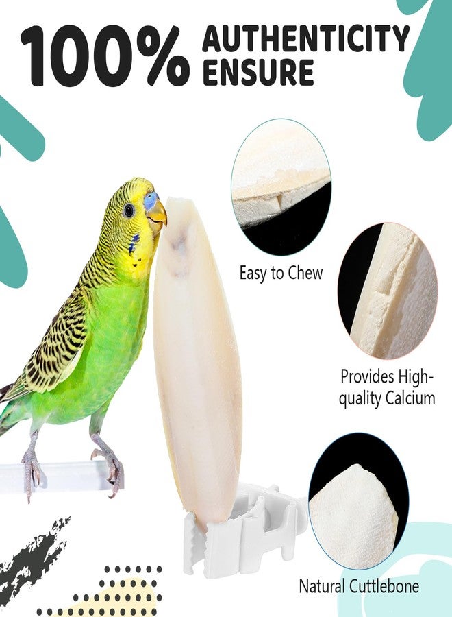 سندير ٤٠ قطعة من عظام الحبار (من ٣ إلى ٣.٥ بوصة) للطيور، مع حامل واحد لعظام الحبار للببغاوات، ومشبك طعام لقفص الطيور، ولعبة مضغ للببغاوات والكوكاتيل والبادجي والزواحف. - Image 4