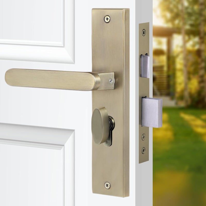 BlueSpace Premium 8" Cylindrical Plate Mortise Door Lock Handle Set with Brass Lock Body, 60mm Cylinder, One Side Key, 3 Computer Keys (LB304, Antique) - Image 1