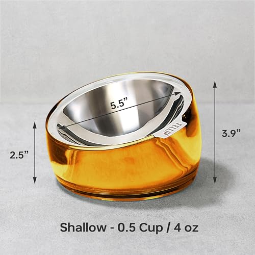Felli Pet Oblik Anti Whisker Fatigue & Regurgitation Raised Cat Food Water Bowl, Tilted Stainless Steel Shallow Dish Dishwasher Easy Clean, Elevated Dry Wet Metal Feeder Slanted Plate (0.5Cups, Gold) - Image 4