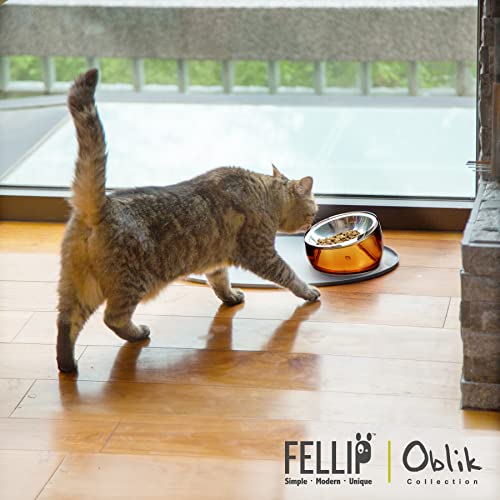 Felli Pet Oblik Anti Whisker Fatigue & Regurgitation Raised Cat Food Water Bowl, Tilted Stainless Steel Shallow Dish Dishwasher Easy Clean, Elevated Dry Wet Metal Feeder Slanted Plate (0.5Cups, Gold) - Image 5