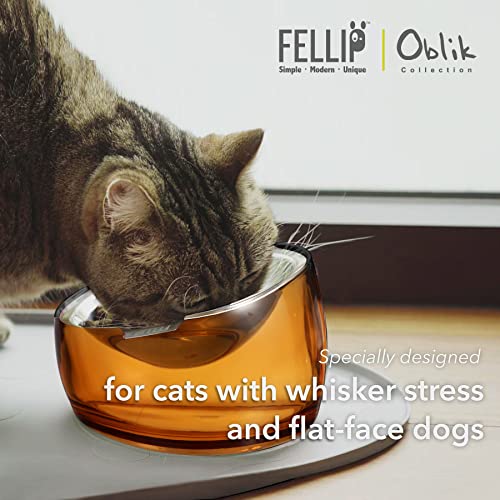 Felli Pet Oblik Anti Whisker Fatigue & Regurgitation Raised Cat Food Water Bowl, Tilted Stainless Steel Shallow Dish Dishwasher Easy Clean, Elevated Dry Wet Metal Feeder Slanted Plate (0.5Cups, Gold) - Image 3