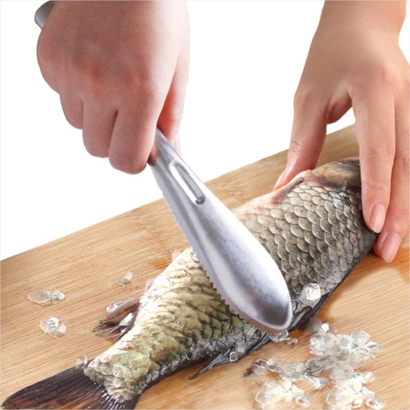 COPORA Fish Scaler Brush Fish Scaler Remover with Stainless Steel Sawtooth Easily Remove Fish Scales-Cleaning Brush Scraper Kitchen Tool - Image 1