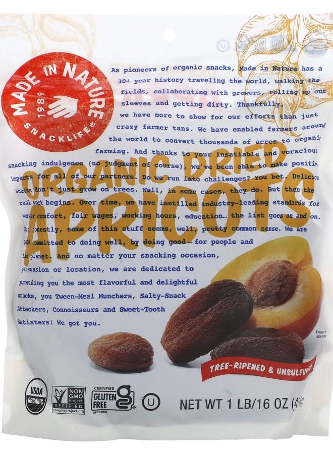 MADE IN NATURE Organic Dried Apricots Tree-Ripened & Unsulfured 1 lb (454 g)