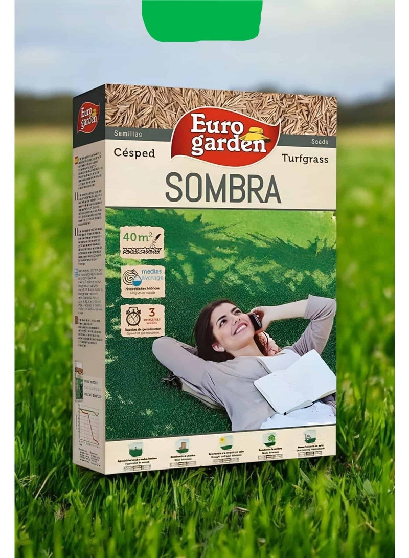 بذور عشب الظل يوروجاردن 1 كجم - 40 م² لعشب الظل للحدائق الخضراء الفاخرة