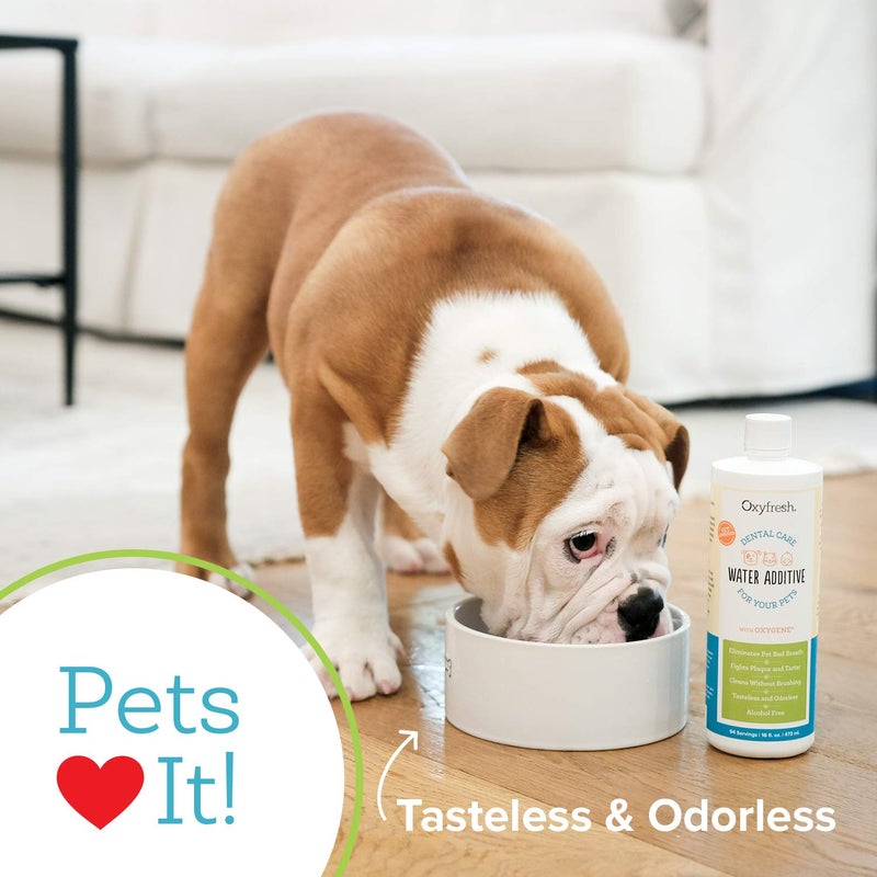 Oxyfresh Premium Pet Dental Care Solution Pet Water Additive: Best Way to Eliminate Bad Dog Breath and Cat Bad Breath - Fights Tartar & Plaque - So Easy, Just Add to Water! Vet Recommended 128 oz. - Image 5