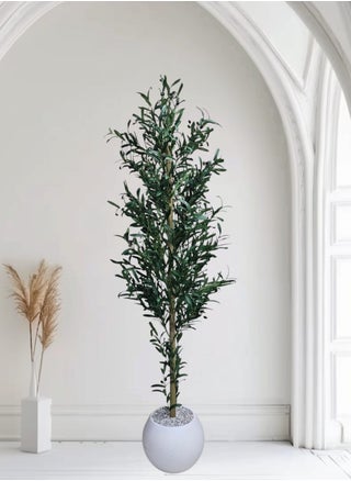 Fruitful olive tree with a large white pot with an attractive design, make your home more elegant, 220 cm - pzsku/Z6B780B917340AC9EBDE0Z/45/_/1737454810/8079a990-4512-4b20-bd6c-46669e9d67fa