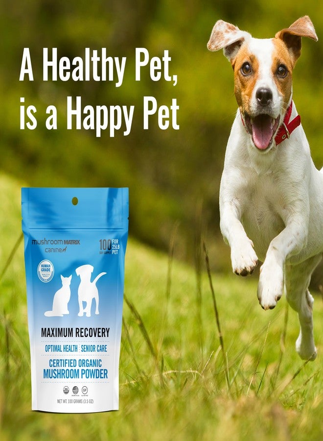 mushroom Matrix Om Mushroom Matrix Pet - Canine | Maximum Recovery | USA Grown Human-Grade Organic Mushroom Powder Pet Supplement | Optimal Health & Senior Care for Dogs & Cats | 100 Grams, 3.5 oz - Image 2