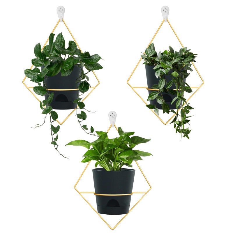 Koalaime 3 Sets Wall Planters for Indoor Plants Geometric Hanging Planters for Indoor Plants  SelfWatering Flower Pots with Black Metal Holder Mounted Succulent Planter 5 Black Plant Pot