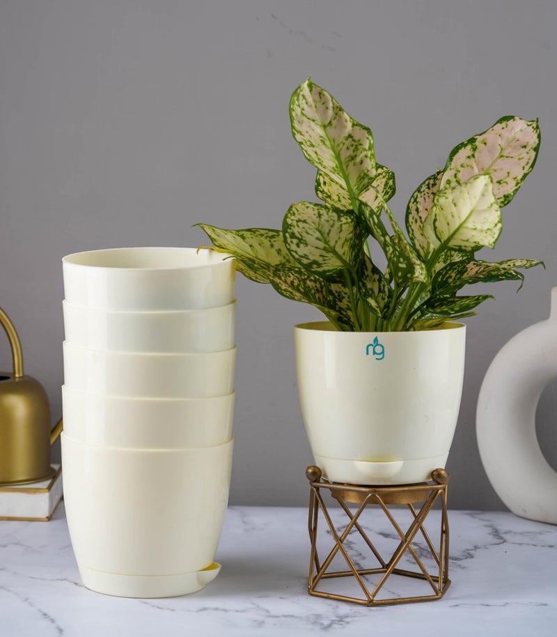 Nurturing Green® Combo of 6 Self Watering Flower Pots for Living Room & Home Decor | Plastic Plant Pots for Indoor, Balcony & Garden (Color: Ivory, Size: 14cm x 12.5cm Each) - Image 1