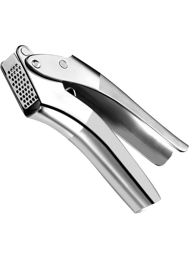 Arabest Garlic Press Stainless Steel, Premium Garlic Mincer Set with Silicone Roller Peeler&Cleaning Brush, Easy to Squeeze and Clean, Rust Proof&Dishwasher Safe, Professional Efficient Garlic/Ginger Crusher  - Image 1