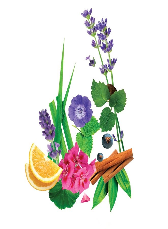 شاندريكا غسول اليدين تشاندريكا بـ 7 زيوت عطرية 650 مل (عبوة من قطعتين) - Image 5