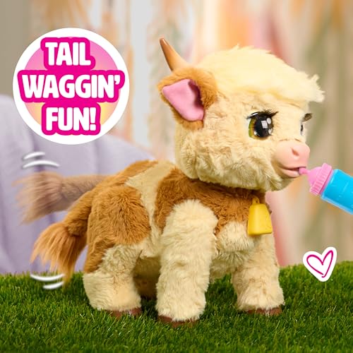 Just Play FurReal Maggie The Feed & Follow Cow, 11 Inch Interactive Highland Mini Cow, for Boys and Girls, Ages 4 and up - Image 4