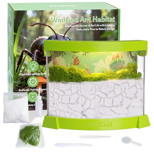 WodGod Illuminated Ant Farm Habitat with Magnifier Educational Ecosystem for Ant Colony Observation Home Classroom Science Study Live Ants Not Included - Image 1