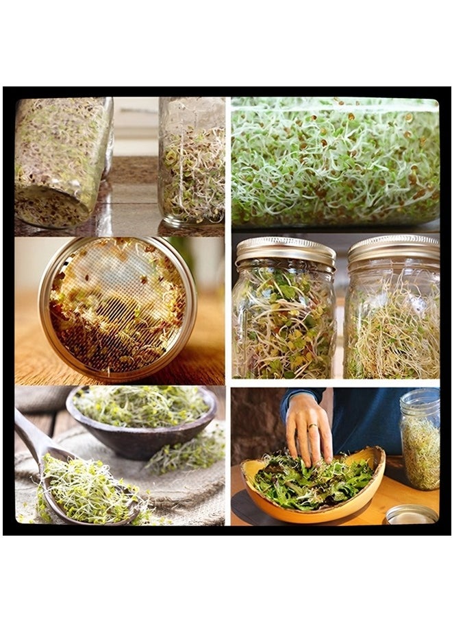 Beauenty - Jar Sprouting Kit-2pack 32oz Complete Wide Mouth Jar Sprouting Kit with Stainless Steel Sprouter Lids,Stand &Tray,Sprouting Jars for Bean Broccoli Alfalfa Radish Sunflower Seed - Image 1