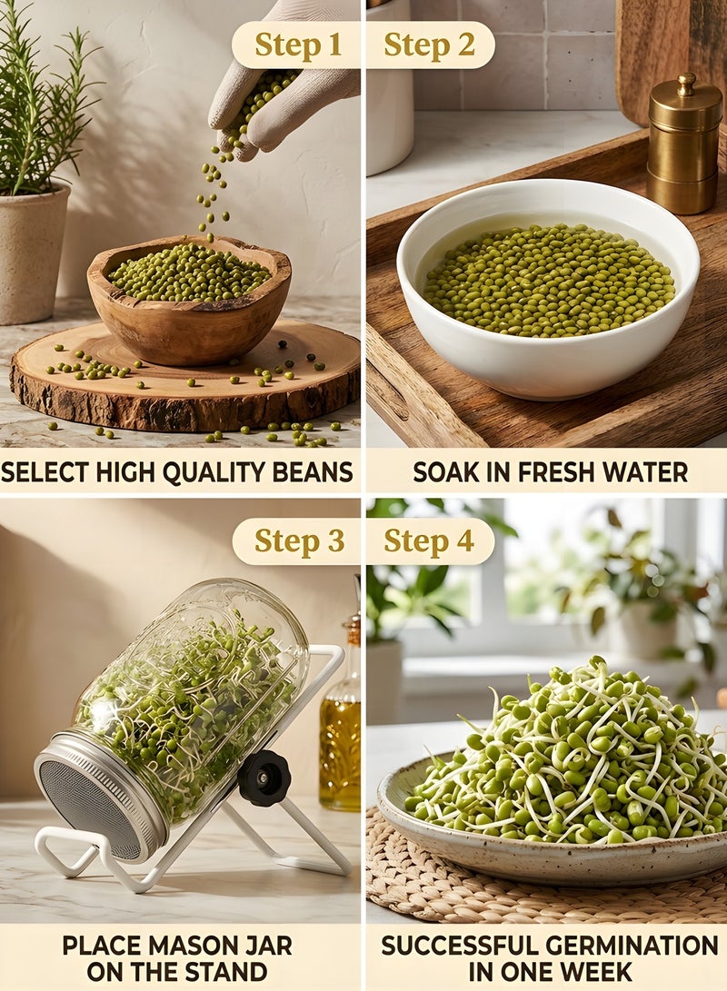 Beauenty Jar Sprouting Kit-2pack 32oz Complete Wide Mouth Jar Sprouting Kit with Stainless Steel Sprouter Lids,Stand &Tray,Sprouting Jars for Bean Broccoli Alfalfa Radish Sunflower Seed - Image 3