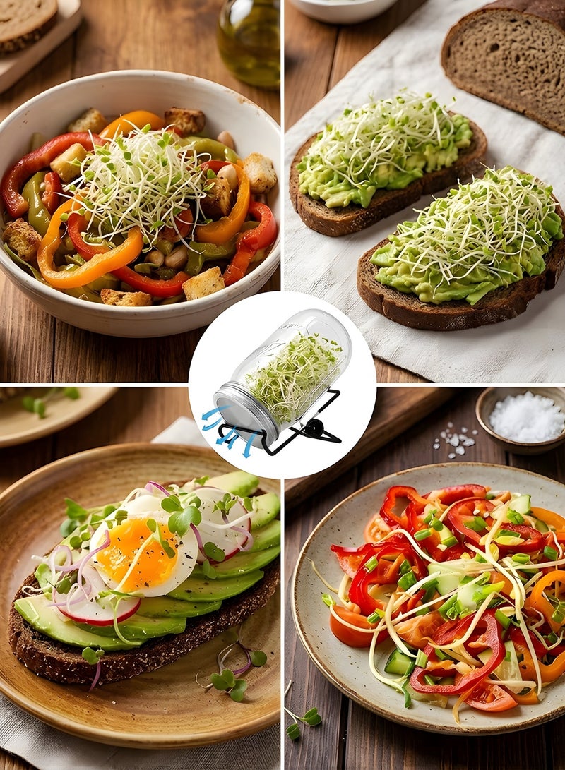 Beauenty Jar Sprouting Kit-2pack 32oz Complete Wide Mouth Jar Sprouting Kit with Stainless Steel Sprouter Lids,Stand &Tray,Sprouting Jars for Bean Broccoli Alfalfa Radish Sunflower Seed - Image 4