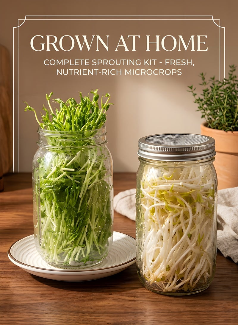 Beauenty Jar Sprouting Kit-2pack 32oz Complete Wide Mouth Jar Sprouting Kit with Stainless Steel Sprouter Lids,Stand &Tray,Sprouting Jars for Bean Broccoli Alfalfa Radish Sunflower Seed - Image 5