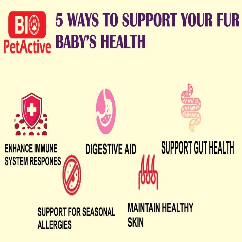 Bio PetActive Dog Tablets Skin & Coat Support - 75 Tablets - Image 5