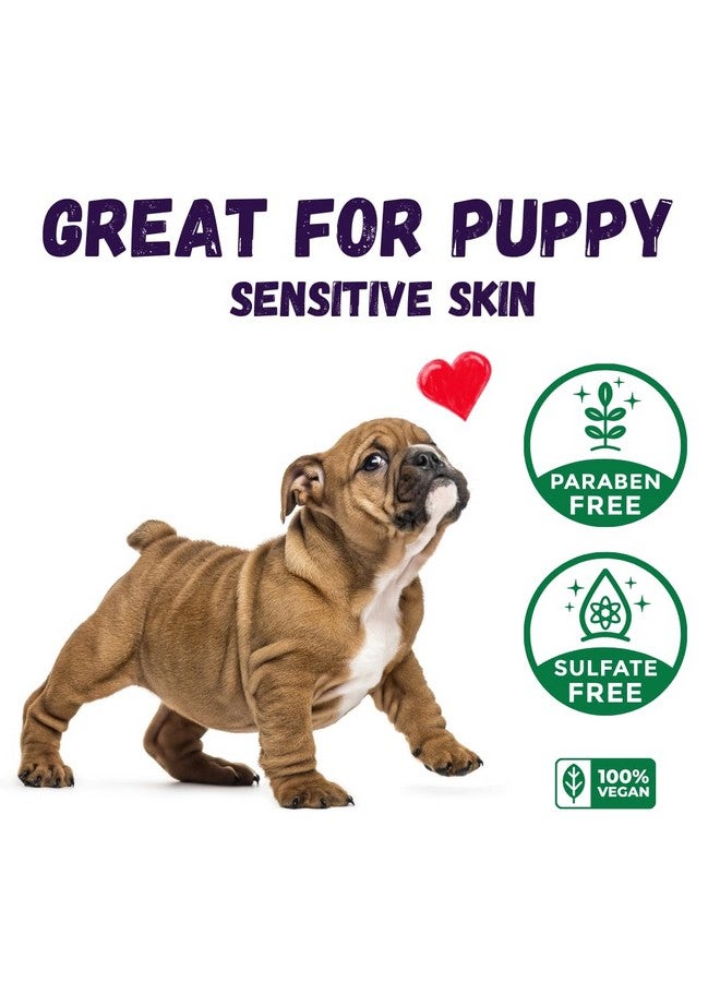 KELEBS Dog Shampoo | Allergies And Itching | Dog Shampoo For Sensitive Skin | All Natural Dog Soap Bar With Lavender Oil & Oatmeal | No Plastic Vegan | 3Pcs - Image 5