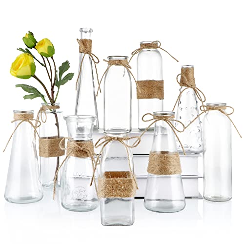 MDLUU Glass Bud Vase Decorative Glass Bottle with Rope Net Different Shapes for Wedding Centerpiece Party Home Decor Set of 10